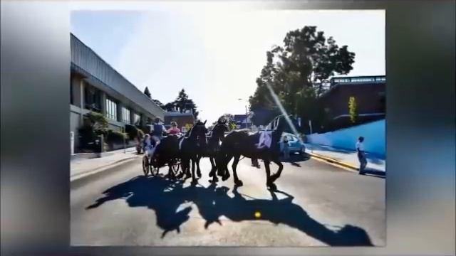 5 ЖАСЫНДА ТҰРМЫСҚА ШЫҚҚАН КіШКЕНТАЙ ҚЫЗ... смотреть онлайн