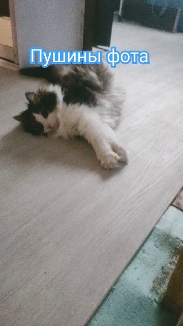 17 июня 2024 г. смотреть онлайн