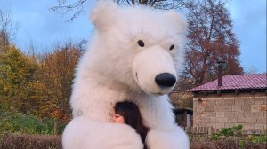 Мишка поздравляет.