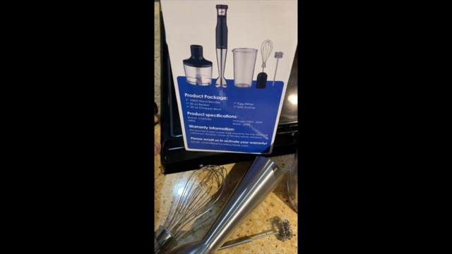 ChefVille HB02 Immersion Blender Handheld Review & Instructions Manual | Best Electric Hand Blender смотреть онлайн