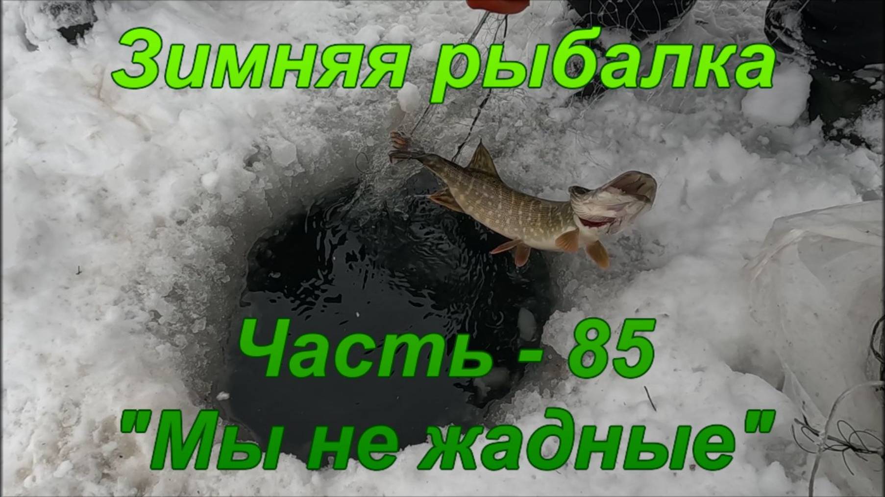 Зимняя рыбалка. Часть - 85. "Мы не жадные". смотреть онлайн