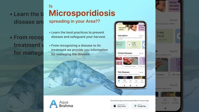 Microsporidiosis смотреть онлайн