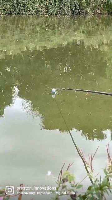 Paste fishing with the FIN смотреть онлайн