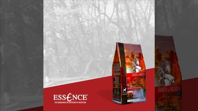 Essence® - Unleash the Power of Protein: Instagram Ad 1 Square смотреть онлайн
