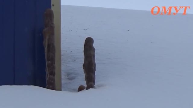 325. МОЛОДИК ИДЁТ НЕ КИСЛО... смотреть онлайн