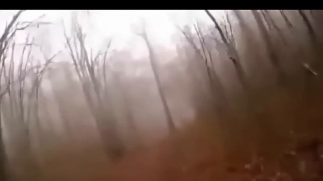 Top 10 Animals Attack People In Zoo