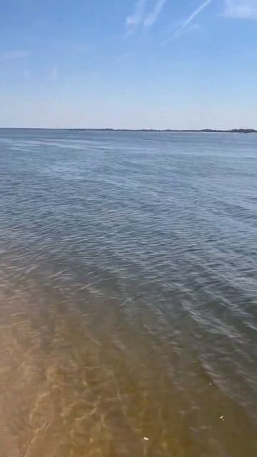 Астраханский подлещик смотреть онлайн