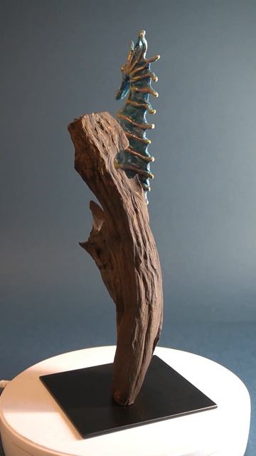 seahorse смотреть онлайн