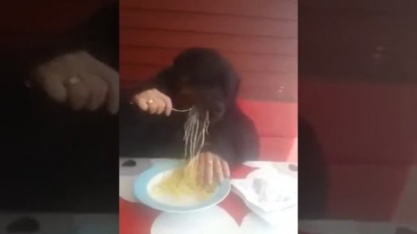 Человек с головой собаки