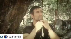 Свист разговор