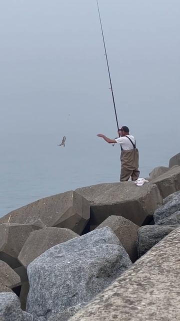 Cod Fishing in Sea Haar #shorts #asmr смотреть онлайн