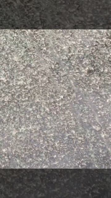 В Сочи опять прошёл «грязный дождь» смотреть онлайн