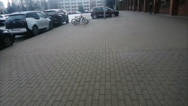 [Жизнь в Литве] Пробую жаренные Цепелины. Рынок на колесах в центре города (Цены на мясо и рыбу) смотреть онлайн
