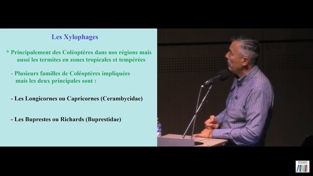 Les saproxylophages : l’importance des insectes dans le cycle du bois et de la forêt смотреть онлайн