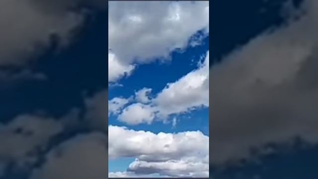 Гражданка Қазақстана из Петропавловска обвиняет казахов!ЭТО ШОК!!!Прошу КНБ ОБРАТИТЬ ВНИМАНИЕ! смотреть онлайн