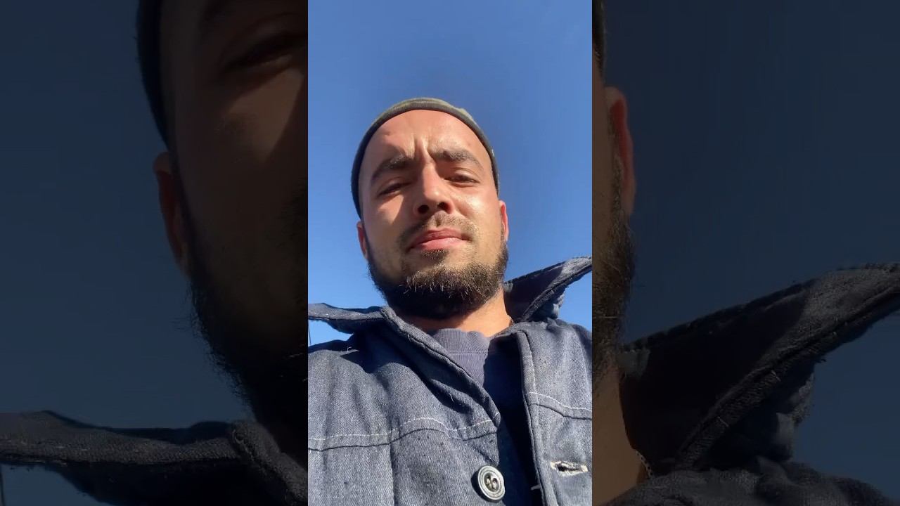 На прогулке с Титаном смотреть онлайн