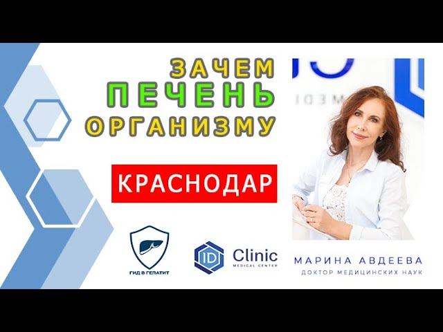 Профессор АВДЕЕВА рассказала зачем печень организму