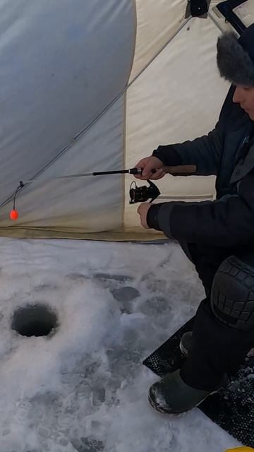 Зимняя ловля трески смотреть онлайн