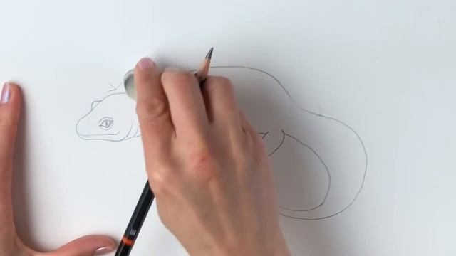 How to draw a leopard gecko easy смотреть онлайн