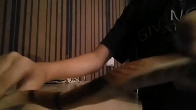 Моя змея смотреть онлайн