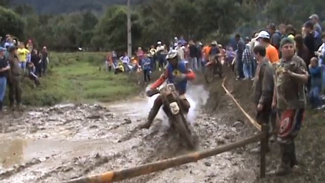 BANANA LAMA 2010 MUITA LAMA смотреть онлайн