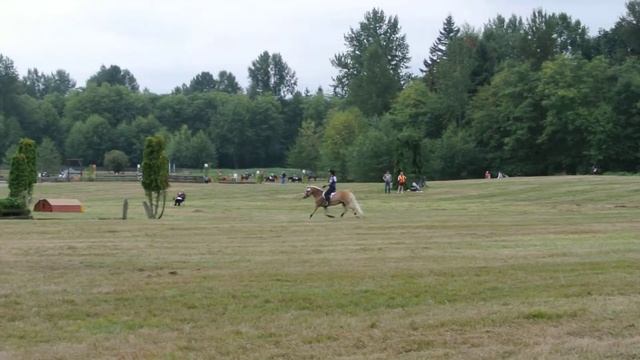 CVES 2014 - Melissa X-country course end смотреть онлайн