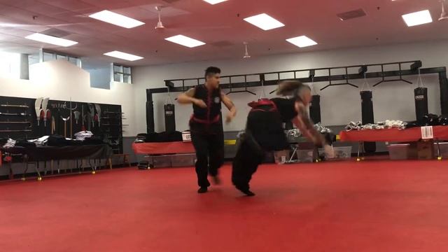 Golden Leopard v Tiger - kung fu - choy li fut смотреть онлайн