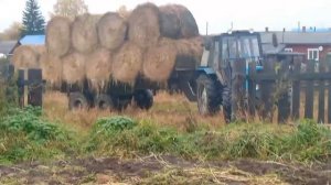 Купили сено в рулонах.