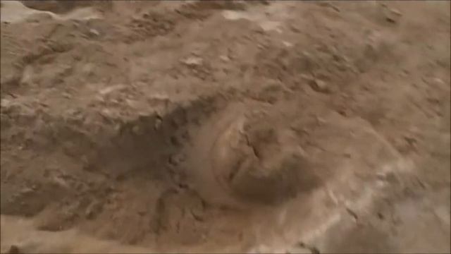 GRIZZLY 660 ROLL OVER CRASH смотреть онлайн