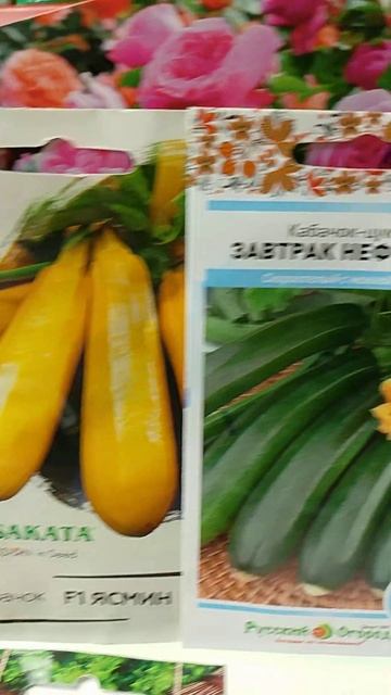 Самые лучшие сорта кабачков. смотреть онлайн