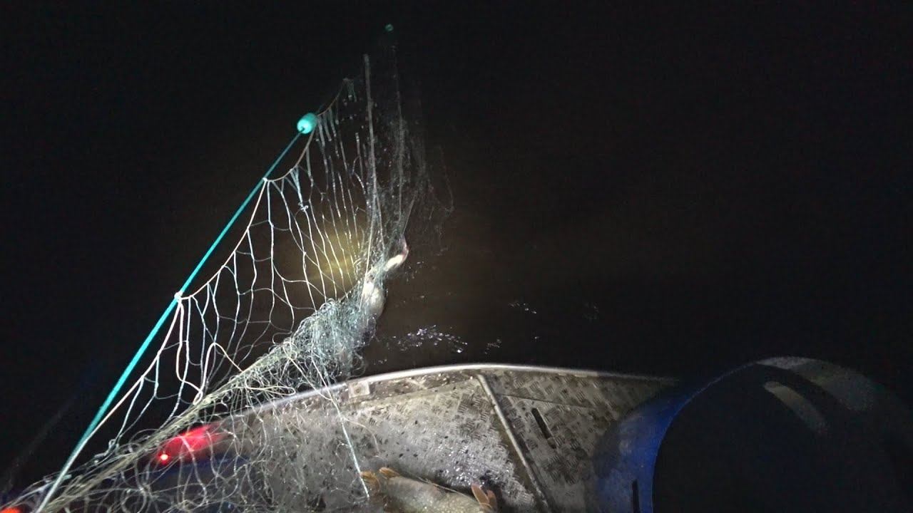Полные СЕТИ Рыбы / Ночная Рыбалка Сплавной Сетью! смотреть онлайн