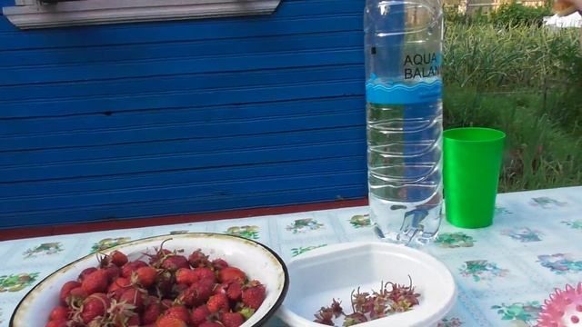 у\друга\нарвал\где то\виктории\нам\положил\на\стол\угощает\а\сам\кудато\спряталси\кушаем\ягодки\уда смотреть онлайн