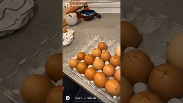 Mini Grizzly Les Oeufs Challenge смотреть онлайн