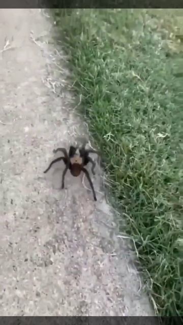 I would start running смотреть онлайн