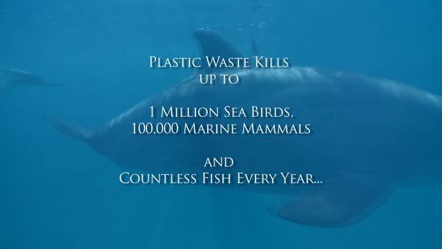 Save The Ocean смотреть онлайн