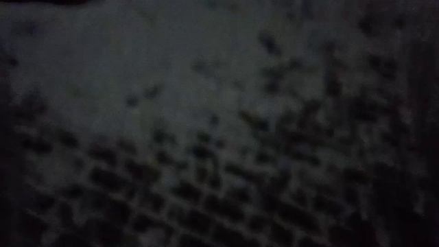 Симферополь 2025г.