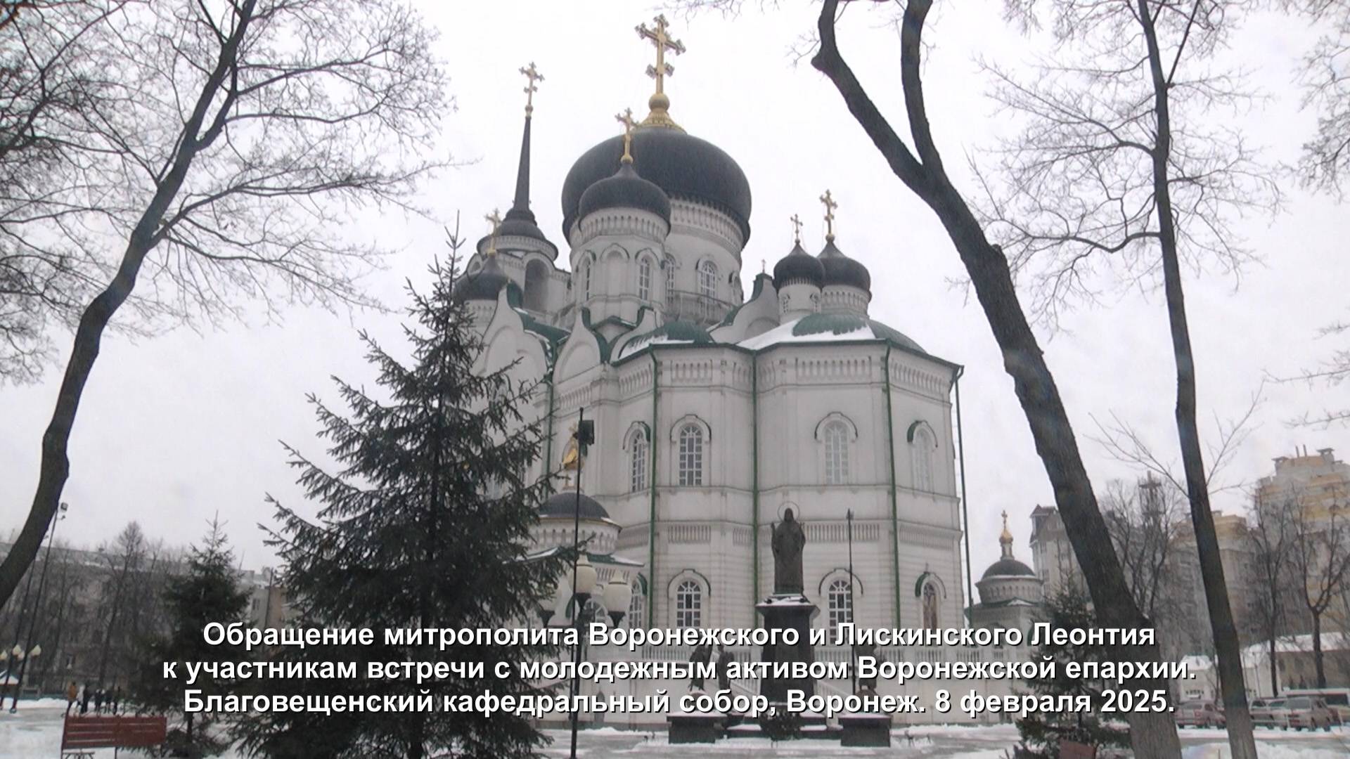 Встреча митрополита Воронежского и Лискинского Леонтия с православной молодежью. 8 февраля 2025 г. смотреть онлайн