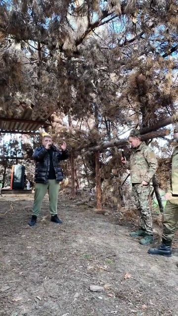 Родники смотреть онлайн