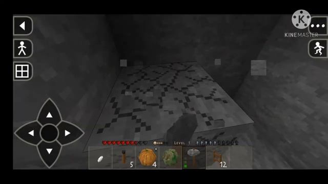 #survivalcraft начало мучений