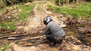 BASHAN 300 EXPLORER LITE