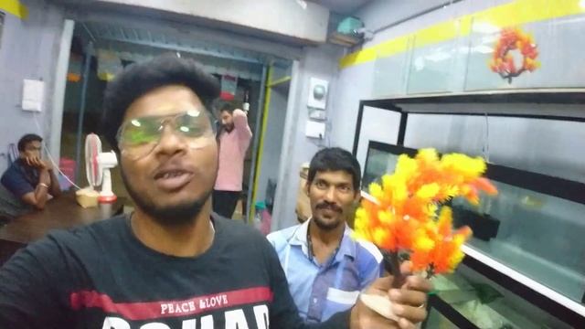 Bubbles Fish and Pets Shop Review | Aquarium Shop | Tirupurur Pet Shop | Mokka Smile | MS | MSF смотреть онлайн
