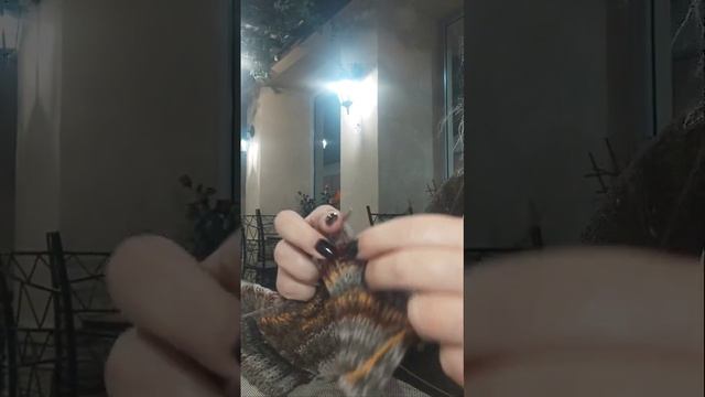 Платье кокон. Клиппан Сауле. Часть 1 смотреть онлайн