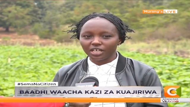 Wenyeji wazamia kilimo Murang’a смотреть онлайн