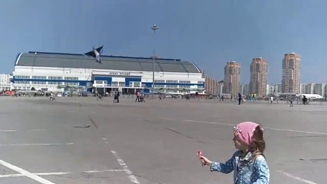 Запуск воздушного змея, Ерофей, набережная Амура смотреть онлайн