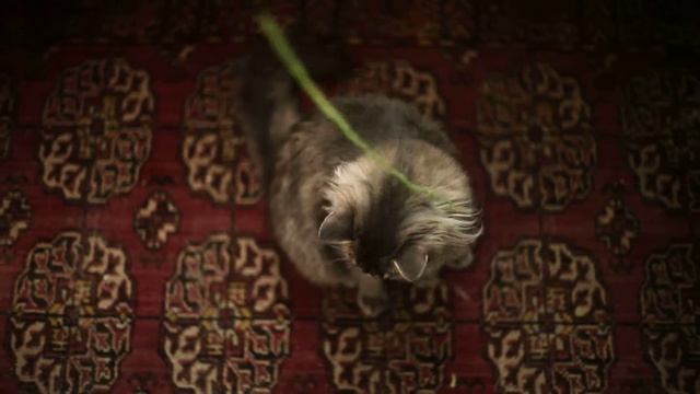 015 смотреть онлайн