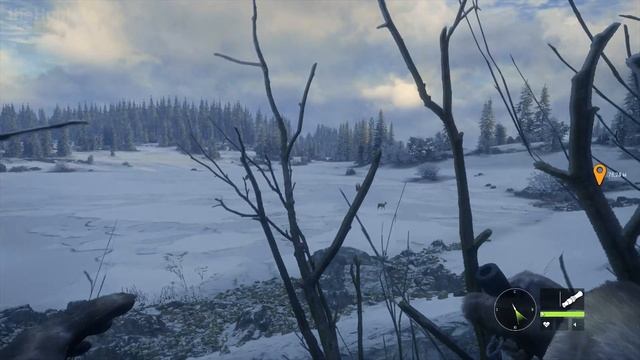 TheHunter_COTW_048_Медведи_для_Гранкина#02