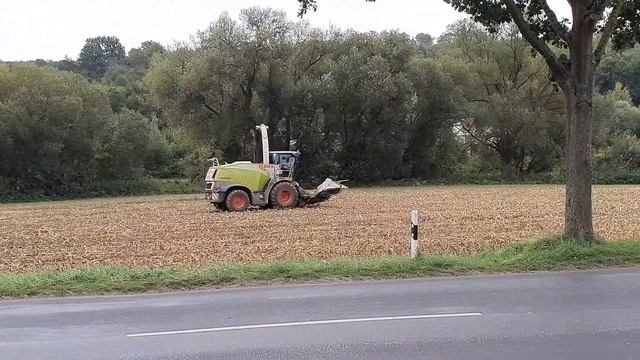 Maishäckseln 2020 mit Claas Jaguar 940 und Fendt Vario 939, Fendt Vario 415, Case Puma 220, Steyr смотреть онлайн