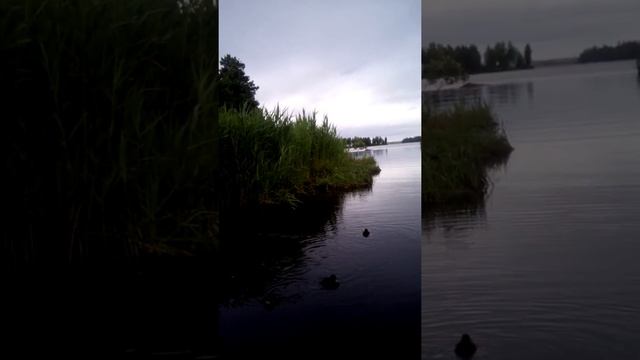 Вот такое чудо,на рыбалке смотреть онлайн