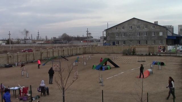 Холод Диана и Карри гемблерз смотреть онлайн
