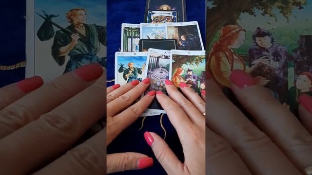 Stunning Snake Plants